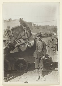 Junger Fahrer in einer Kohlenmine in West Virginia von Lewis Wickes Hine