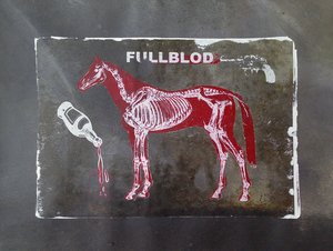 Vollblut-Pferdeskelett von Li Gessbo