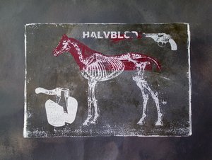 Halbblut-Pferd von Li Gessbo