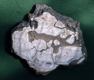 Meteorit, unbekannte Periode - Naturhistorisches Museum, Paris von Unbekannt Unbekannt