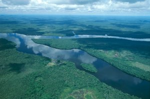 Venezuela, Guayana, Amazonas-Staat, Orinoco-Fluss (Luftaufnahme) von Unbekannt Unbekannt