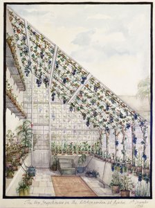 Die beiden Traubenhäuser im Küchengarten, Aynhoe von Lili Cartwright