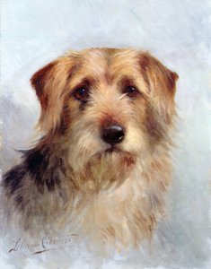 Eines der Familienmitglieder von Lilian Cheviot