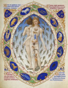 Très Riches Heures des Herzogs von Berry: Anatomischer Mann von Limbourg Brothers
