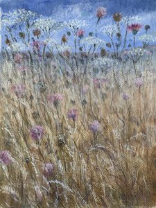 Wiesenkerbel 1 von Lincoln Seligman