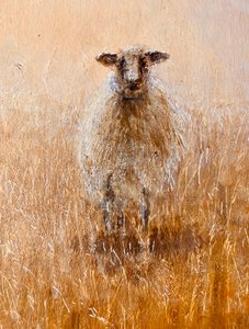 Lieblingsschaf von Lincoln Seligman