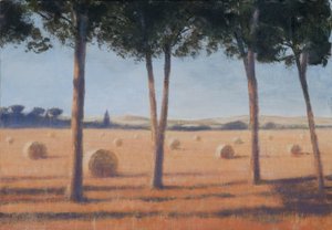 Heuballen und Kiefern, Pienza, 2012 von Lincoln Seligman