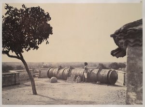 Die Monsterkanone von Tanjore, aus 