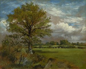 Baum in einer Wiese, ca. 1850