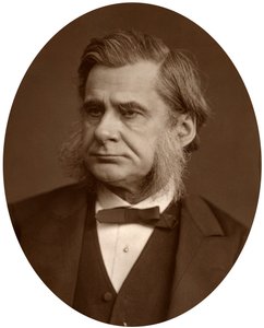 Professor Thomas Henry Huxley, 1880 von Lock and Whitfield