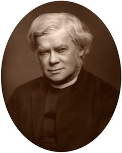 Reverend John Saul Howson, Dekan von Chester, 1882 von Lock and Whitfield