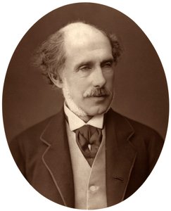 Der ehrenwerte William Francis Cowper-Temple, Abgeordneter für Süd-Hampshire, 1876