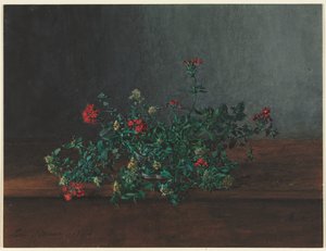 Stillleben mit Wildblumen von Léon Bonvin