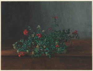 Stillleben mit Wildblumen von Léon Bonvin