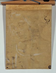 Kopf eines jungen Mädchens, Dreiviertelansicht nach links von Lorenzo di Credi