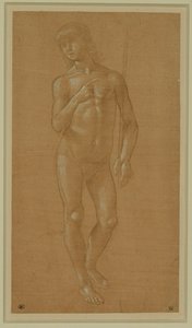 Nackter junger Mann, Frontalansicht, mit einem Stab, Silberstift, weiß gehöht, hellrosa Papier von Lorenzo di Credi