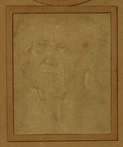 Porträt eines alten Mannes von Lorenzo di Credi