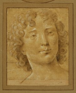 Studie eines Mannes mit langen, lockigen Haaren von Lorenzo di Credi