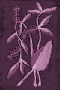 Tiefpurpurne Botanicals