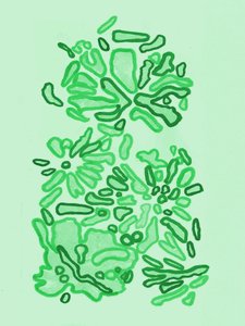 Grüne Organische Formen