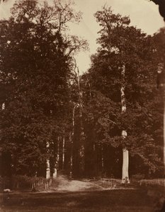 Wald bei Saint-Cloud von Louis-Rémy Robert