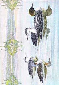 Illustration aus Die Naturgeschichte der amerikanischen Vögel von Ost- und Zentral-Nordamerika, veröffentlicht von Bramhall House, ca. 1970 von Louis Agassiz Fuertes