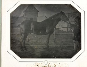 Cleveland von Louis Auguste Bisson