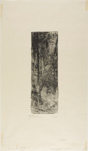 Fallende Kiefern von Louis Auguste Lepère