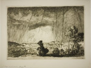 Sturm auf der Düne