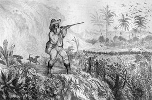 Ich tötete drei... Gravur nach der Zeichnung von M. de Sainson für das Buch von Daniel Defoe „Robinson Crusoe“ französische Ausgabe von 1837.
