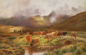 Eine Highland-Herde in Strathfillan, Perthshire