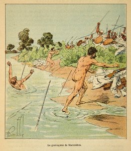 Der Krieg in Madagaskar - Anekdotische Geschichte der französischen Expeditionen von 1885-1895 von Henri Galli dit Galllichet, illustriert von Louis Bombled: Sakalaves greifen französische Unterhändler in Marosakoa 1895 an