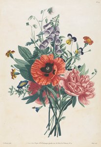 Sammlung von Blumen und Früchten nach der Natur gemalt: Strauß aus Fingerhut, Clematis, Stiefmütterchen, Pfingstrose, Mohn und Gelber Taglilie von Louis Charles Ruotte