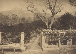 Landwirtschaftliche Szene mit Bergen von Louis Crette
