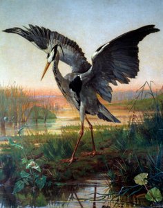 Der Reiher. Illustration zur Fabel „Der Reiher und die Schnecke“ von Jean de La Fontaine von Louis Emile Villa