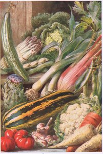 Garten Gemüse, Illustration aus 