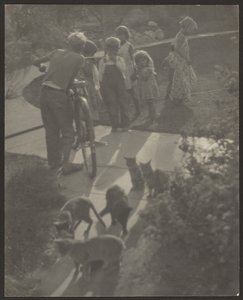 [Kinder und Katzen] von Louis Fleckenstein