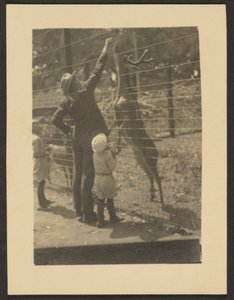 Hirsche füttern von Louis Fleckenstein