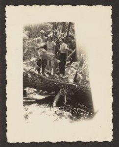 Figuren im Wald von Louis Fleckenstein