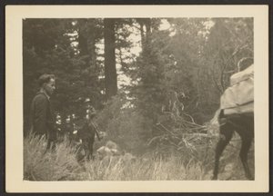 Figuren in einer waldigen Landschaft von Louis Fleckenstein