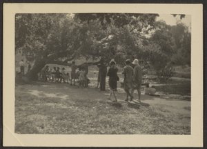 Gruppe im Park