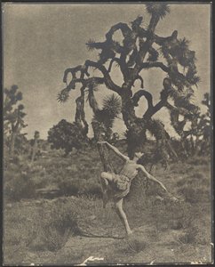 Inspiration des Tanzes von Louis Fleckenstein