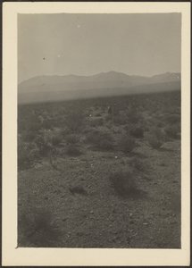 [Landschaft] von Louis Fleckenstein