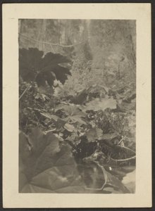 Landschaft von Louis Fleckenstein