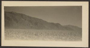 Landschaft von Louis Fleckenstein