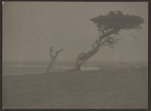 [Landschaft] von Louis Fleckenstein