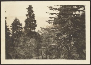Landschaft von Louis Fleckenstein