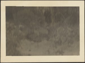 [Landschaft]