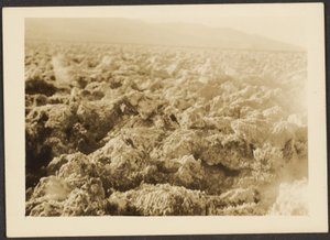 Landschaft von Louis Fleckenstein
