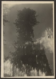 [Landschaft]